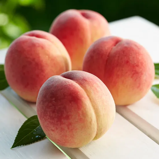 전남 고흥 복숭아 1.25kg (7-8과)