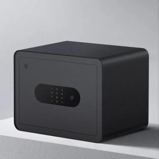 샤오미 스마트 금고 30cm BGX-5/X1-303