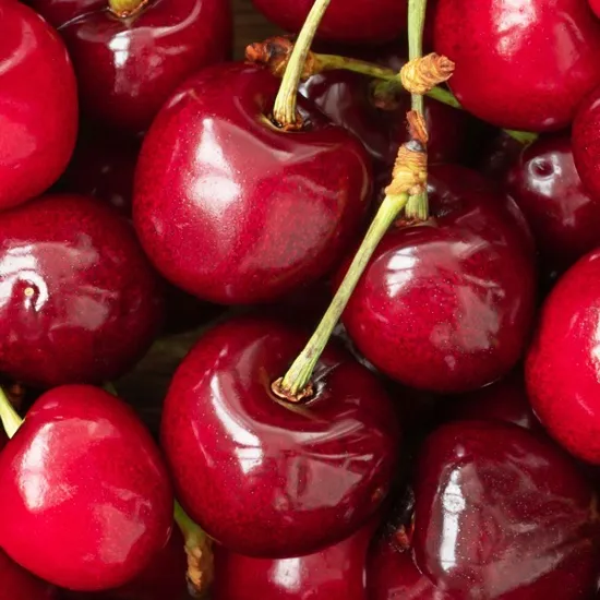 미국 워싱턴 생 체리 9.5row 1kg