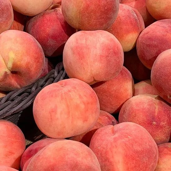 딱딱이 백도복숭아 중과 2kg