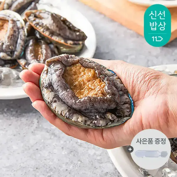 기삼전복 특대 1kg 9-10미 손질칼