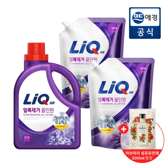 리큐 얼룩제거 올인원 세탁세제 용기 2.7L 리필 2.1L 2개