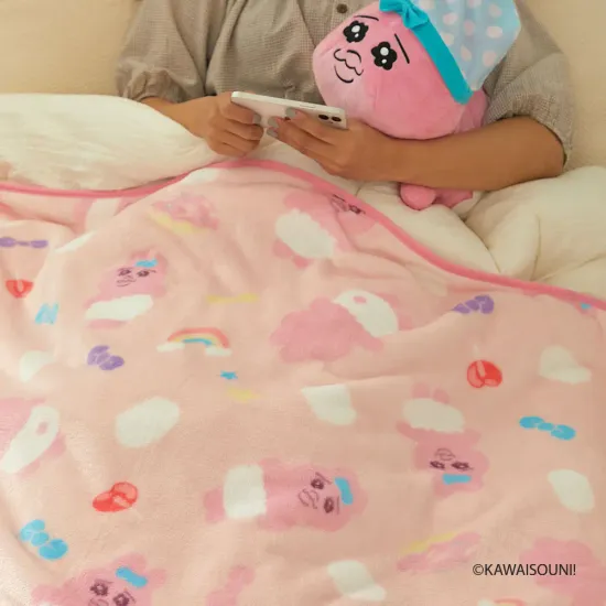 빤쮸토끼 패턴 무릎담요