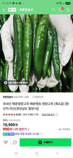 푸른잎농산 국내산 매운청양고추 매운땡초 청양고추 (특A급)  900원(룰렛1만쿠)