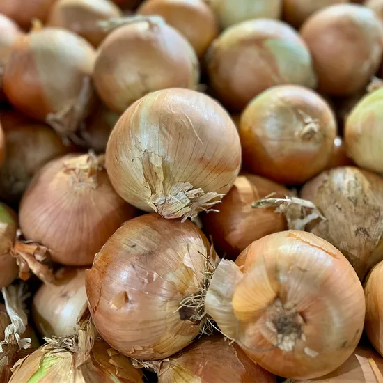 네이버)해남조은농산물 햇양파 5kg 7800원 무배