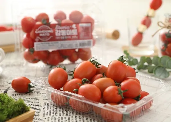 롯데온) 스테비아 대추방울토마토 500g 4팩 9,950원 무배