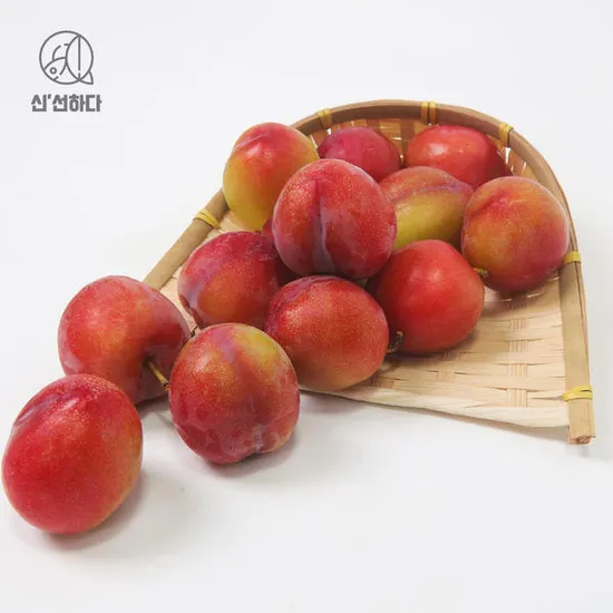 11번가)경북 여름 자두 2kg 행사+쿠폰가 10920원부터~ 무료배송