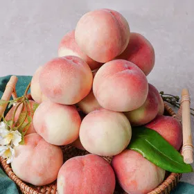 지마켓)대극천복숭아 2kg 10~18과 유클 16,720원