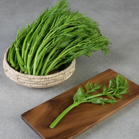 11번가)모시촌 두릅 400g 10,500원 무배!