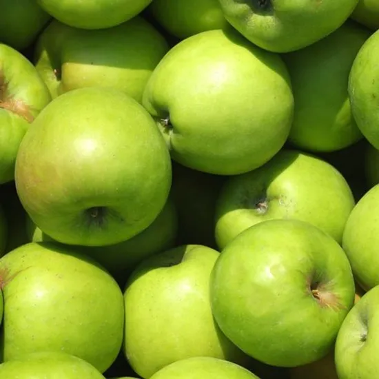 SK스토아) 아오리사과 2.5kg 중대과(10과 내외) 13,304원