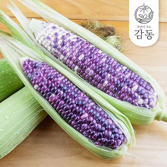 롯데온) 무안 흑찰옥수수 특 20개입 13,500원