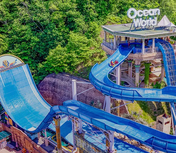 네이버라방예고) 오션월드 컬러풀 페스타 핫썸머 종일권/ 44000원~