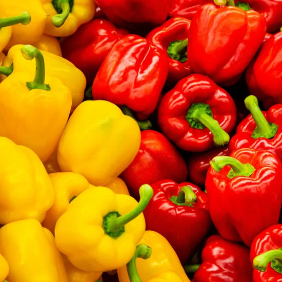 떠리몰 국내산 파프리카 2kg 못난이 혼합 7,900원