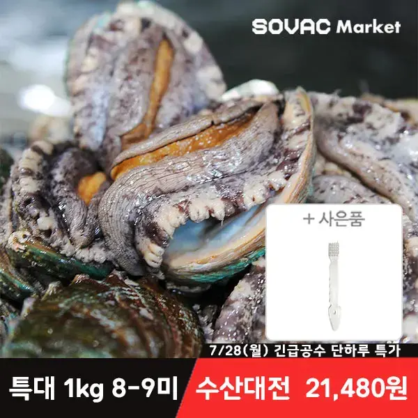 11번가) 바다마을 완도 활 전복 특대 1kg 8-9미+세척 솔 증정 21,480원