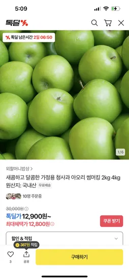 외할머니밥상 청사과 2kg