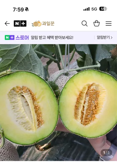 과일꾼 머스크멜론 2통 3.2~3.6kg