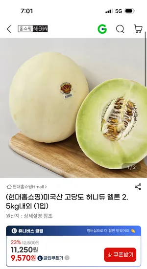 미국산 고당도 허니듀 멜론 2.5kg내외 1입