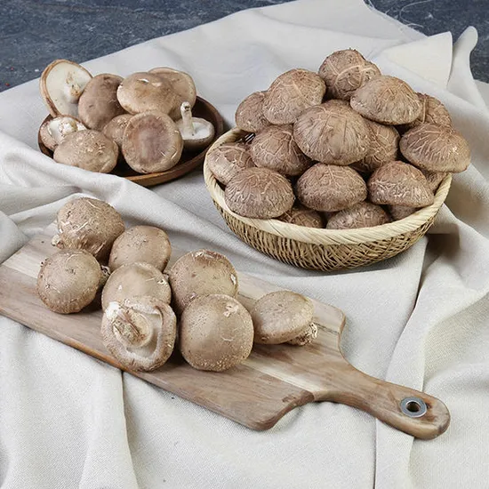 모시촌 생표고 1kg