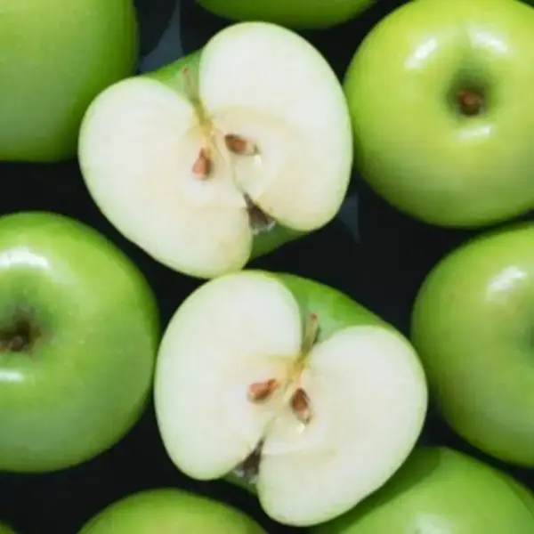 아오리 사과 4kg