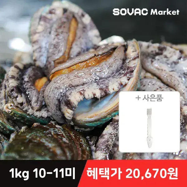 바다마을 완도 활 전복 VIP특대 1kg 7-8미