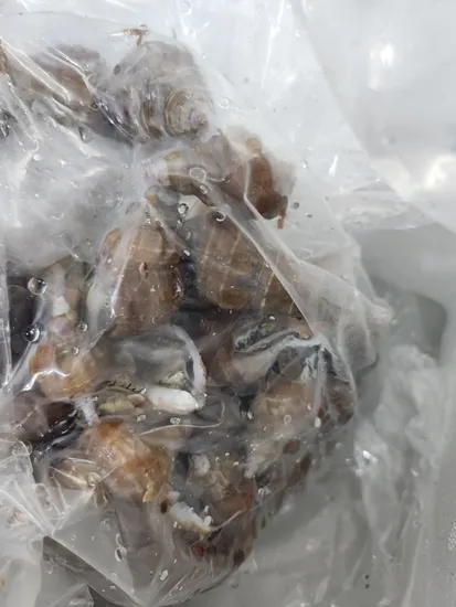 거시기해도 맛은 최고 고추골뱅이 1kg