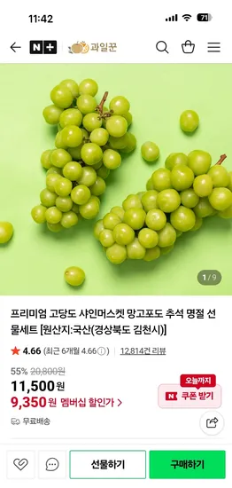 과일꾼 샤인머스켓 가정용 1kg 2수