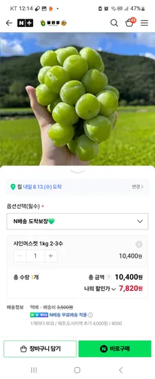 꿀한당 샤인머스캣 1kg 2-3수