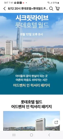 롯데호텔 호캉스 롯데월드 입장권 패키지