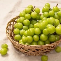 고당도 샤인머스켓 1kg 1-2수