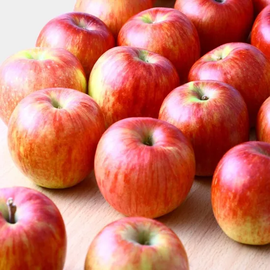 햇사과 홍로 2kg