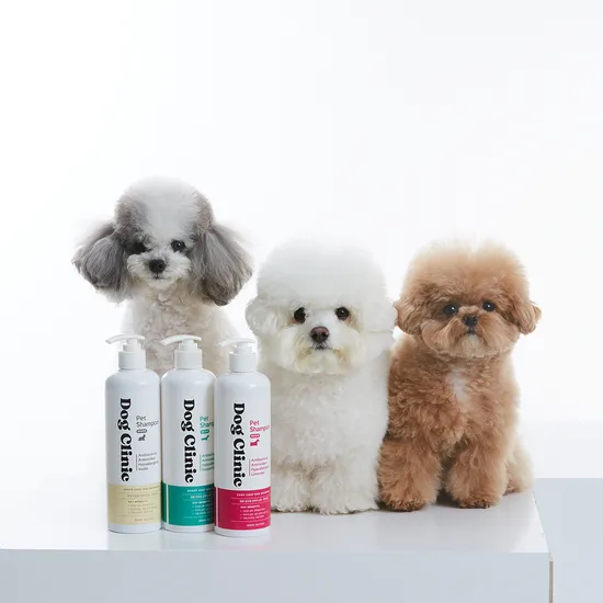 강아지샴푸