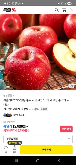 2025 안동 홍로사과 2kg