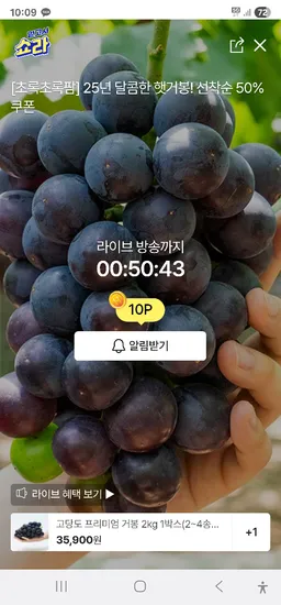 고당도 프리미엄 거봉 2kg 1박스