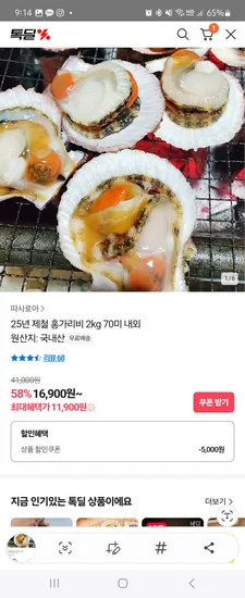 통영 세척 홍가리비 2kg 70미 내외