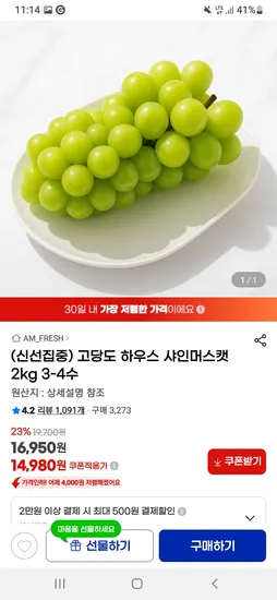 고당도 하우스 샤인머스켓 2kg 3~4수