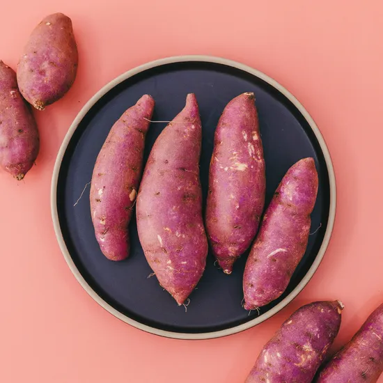 국내산 햇밤고구마 베니하루카 5kg