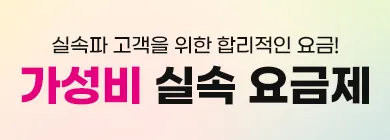 6기가 300분 100건 12개월 110원