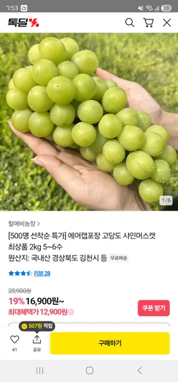 카카오 고당도 샤인머스캣 최상품 2kg 5~6수