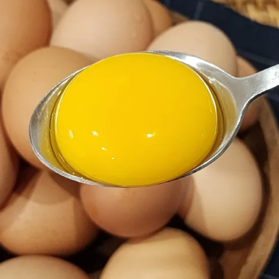 난각 2번 유정란 20구