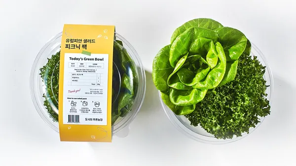 무농약 유러피안 상추 피크닉팩 2팩