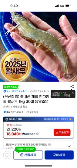 활 왕새우 1kg 약 30미