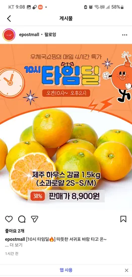제주하우스감귤 1.5kg
