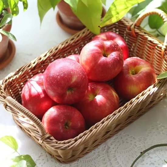 햇 가을사과 가정용 9kg 중대과 18-40과