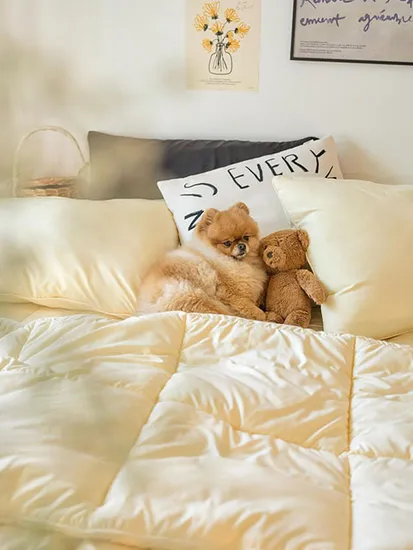 호무로 알러지케어 사계절이불 SS사이즈