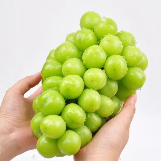 국내산 고당도 샤인머스켓 1kg 2수