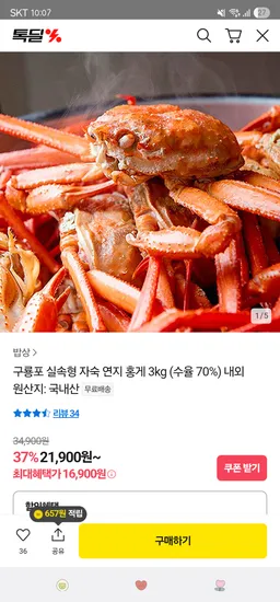 카카오 구룡포 실속형 자숙 연지 홍게 3kg