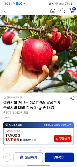 홍로 사과 3kg 대과 정품 9~12개