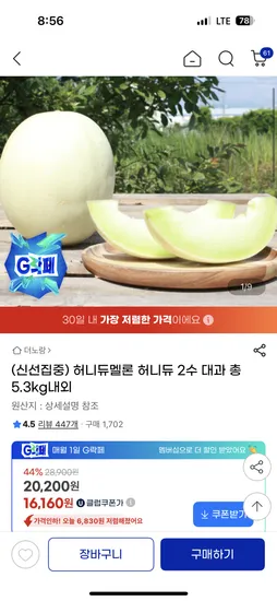 허니듀 대과 5.3kg 내외