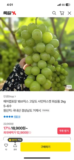 샤인머스캣 최상품 2kg 5~6수
