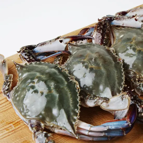 서천 햇꽃게 2kg